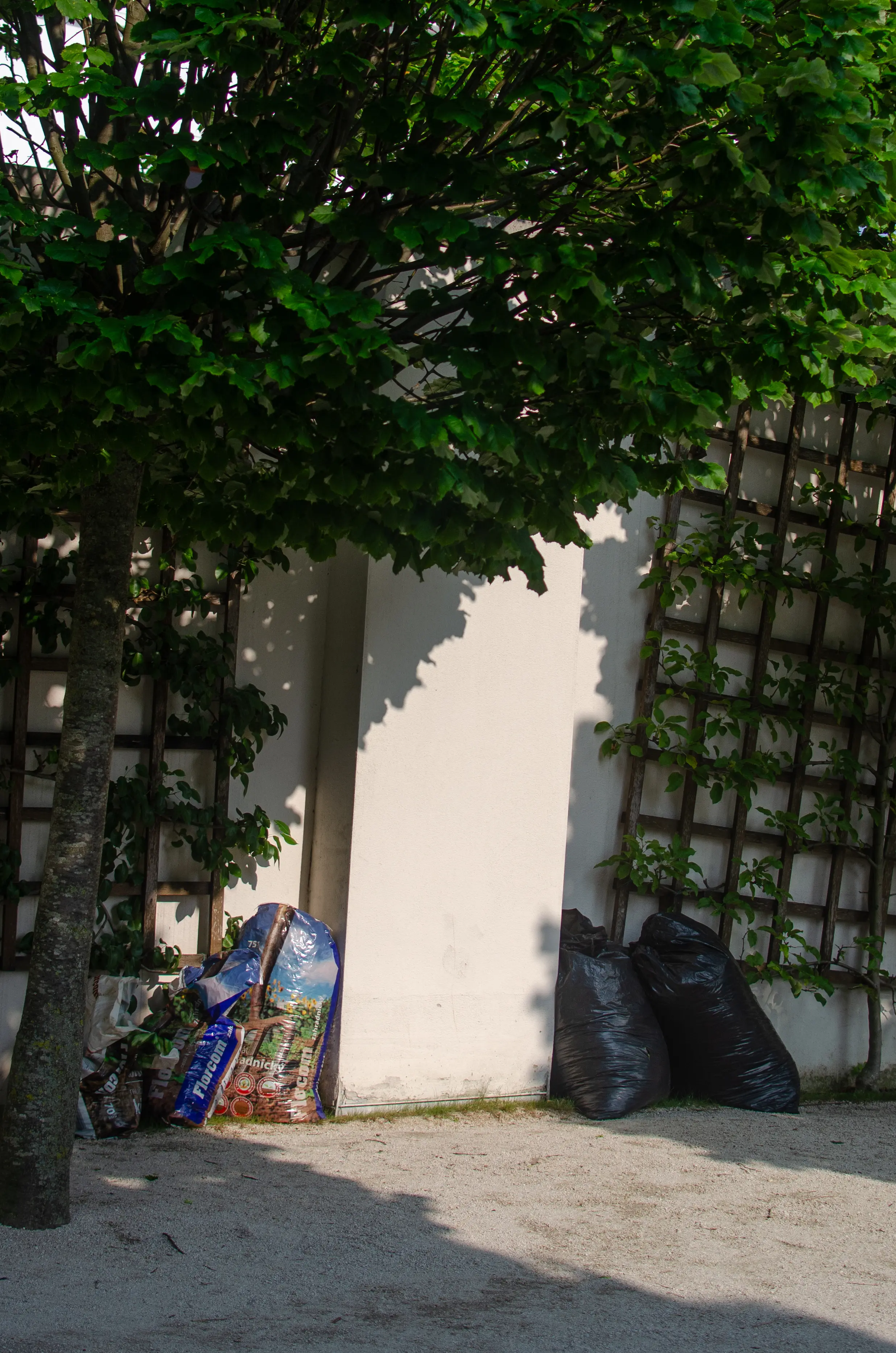 Vienne et Slovaquie/Vienne-Slovaquie-022-3264 x 4928.webp